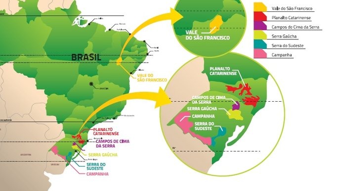 Mapa com as principais vinicolas do Brasil.